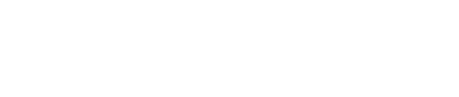 greifeneder.consulting-long
